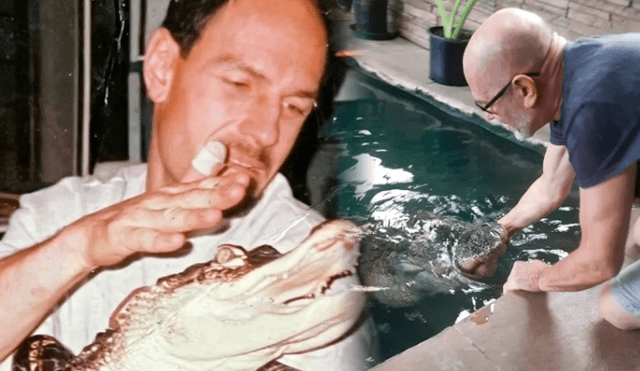 Tony Cavallaro crio un caimán desde 1990 y su mascota fue decomisada tras ser considerada un peligro para la sociedad. El hombre estadounidense busca su devolución. Foto: composición LR/Facebook/New York Post