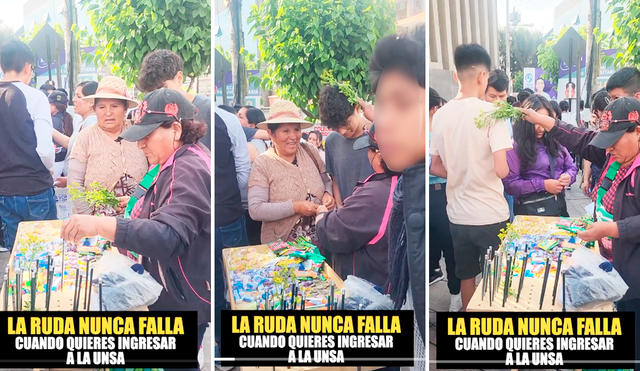 La vendedora de Arequipa logró captar la atención de los postulantes de la UNSA con su ingenioso negocio de venta de ruda. Foto: composición LR/TikTok/@frasecorta