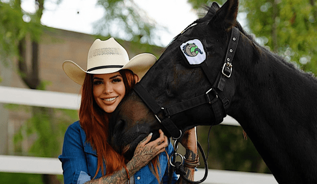 Cuacolandia es un santuario para equinos que protege a los animales de maltratos y abandonos. Foto: Guacolandia / Facebook