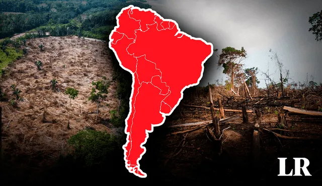 En los últimos años la deforestación en el Amazonas causó al perdida de más de 2,3 millones de hectáreas. Foto: Composición LR/Mongabay/NatGeo