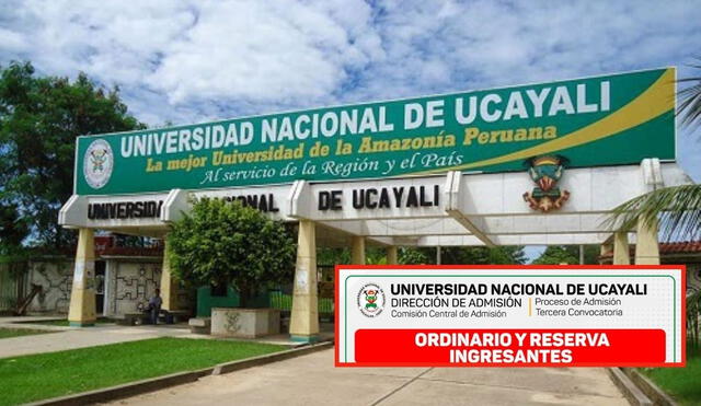 Conoce AQUÍ los resultados del examen de admisión 2024-III de la Universidad Nacional de Ucayali. Foto: Andina