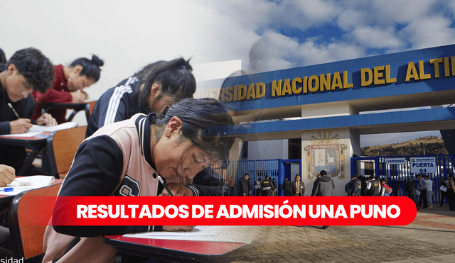 La universidad de Puno ofrecerá 3 nuevas carreras profesionales: Foto: UNA
