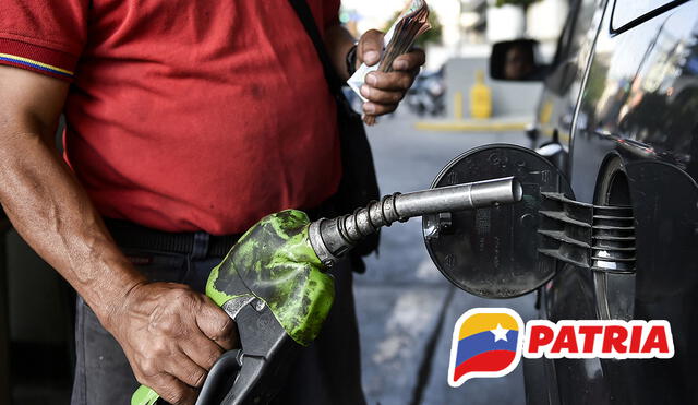 Los litros de gasolina Patria se pueden transferir a un familiar. Foto: composición LR/AFP/Patria