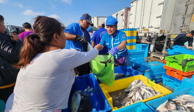 El consumo de pescado se triplicará en el feriado largo, según Produce. Foto: María Pía Ponce y Rosario Rojas/La República