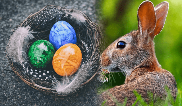 La diversión por encontrar los huevitos es entretenida; sin embargo, ¿sabes la historia del conejo tan especial en este día? Foto: composición LR/Pixabay