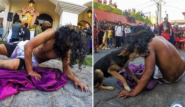 Fotografías de can son virales en redes sociales. Foto: El Gráfico GT/Facebook