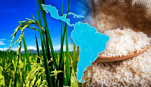 El mayor consumidor de arroz se encuentra en Latinoamérica y supera a Perú. Foto: Composición LR/AFP