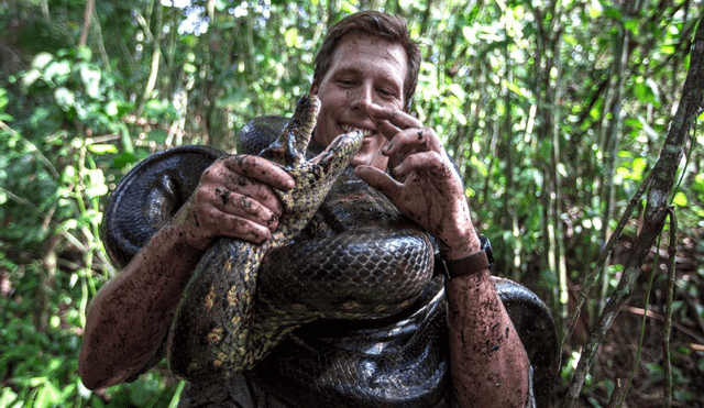 La anaconda mide alrededor de 7 metros de largo. Foto: IMAGO