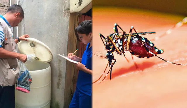 El dengue es una enfermedad de origen viral transmitida, en particular, por el mosquito Aedes aegypti y puede afectar tanto a niños como a adultos mayores. Foto: Composición LR/Colprensa/OPS