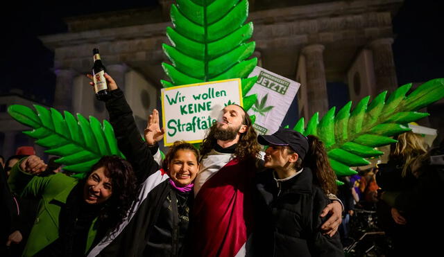 Los clubes sociales de cannabis estarán limitados a tener hasta 500 miembros, con la capacidad de distribuir hasta 50 gramos de cannabis mensualmente por cada afiliado. Foto: AFP. Video: AFP