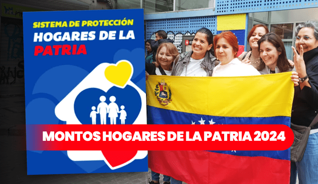 El Bono Hogares de la Patria llegó a la cuenta de miles de venezolanos. Foto: composición Fabrizio Oviedo/LR/Plataforma Patria