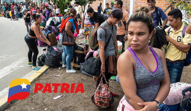 La mayoría de los bonos de Patria se entregan por la plataforma del mismo nombre. Foto: composiciónLR/CNN/Patria