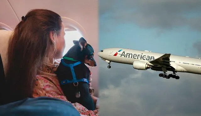 Según Anato, en 2023 se registraron 5.174.032 viajes internacionales, un 5% más en comparación con el año 2022. Foto: composición LR/Tsuguliev/American Airlines