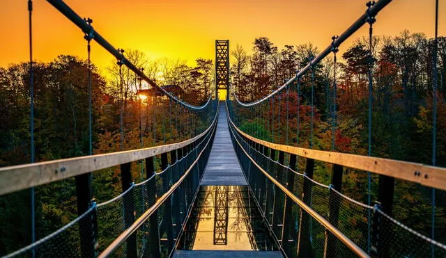 Este puente tiene accesibilidad durante todo el año para quienes quieran recorrerlo. Foto: Pure Michigan
