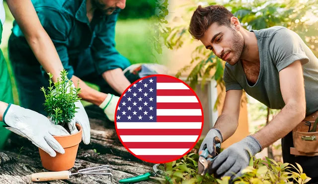 En Estados Unidos, el sector de la jardinería ofrece significativas oportunidades laborales, especialmente para los migrantes. Foto: composición de Jazmin Ceras/LR/Freepick. Video: Badabun