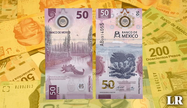 ¡Descubre los billetes más valiosos en circulación! Desde el de 50 pesos hasta el de 1000, conoce su valor y cómo identificarlos. Foto: composición LR/X