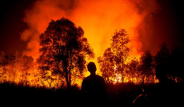 Venezuela, en lo que va del 2024, se volvió en el país sudamericano con más incendios forestales. Foto: AFP