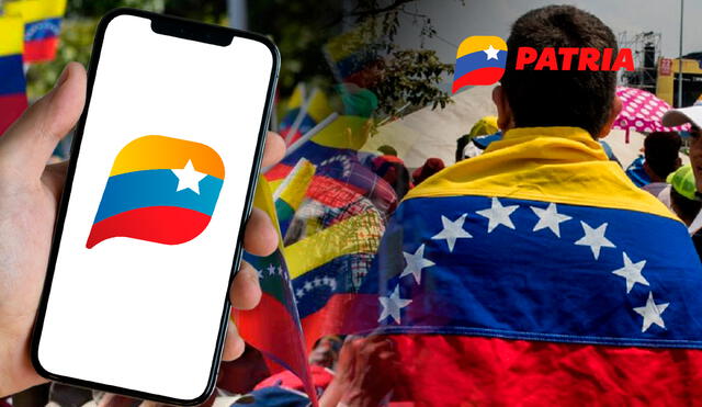 Revisa toda la información actualizada sobre la existencia del pago del Bono Apoyo Social. Foto: composición LR/Patria/Venezuela.