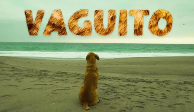 Julián Legaspi será el protagonista de ‘Vaguito’, la conmovedora cinta de amor de un perro hacia su dueño. Foto: Bamboo Pictures