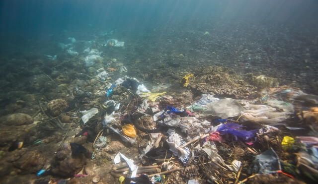 Plástico de primer uso sigue siendo uno de los principales contaminantes del planeta. Fuente: Difusión