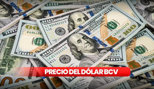 Precio del dólar BCV hoy, 20 de abril, en Venezuela. Foto: composición LR/Freepik