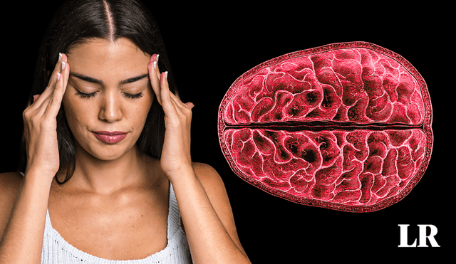 Un informe de la Universidad de California revela como el ciclo menstrual afecta la estructura cerebral de las mujeres. Composición: LR
