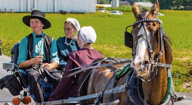 Familia amish paseando en un carruaje con caballos. Foto: CiviatiNY