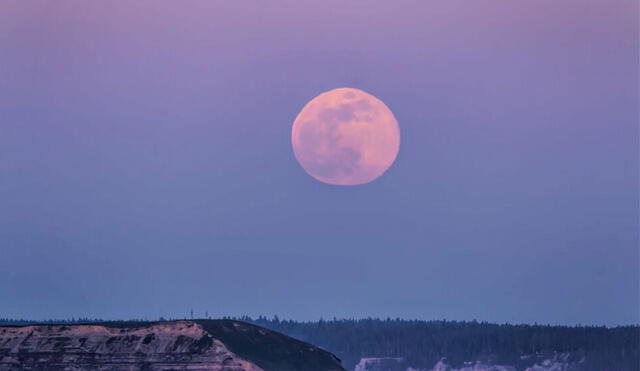La Luna rosa fue nombrada así por los nativos americanos, ya que su aparición coincidía con la floración del musgo rosa (Phlox subulata). Foto: AFP