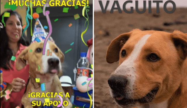 'Vaguito' es una de las películas más vistas en el Perú. Foto: composición LR/Instagram/Bamboo Pictures