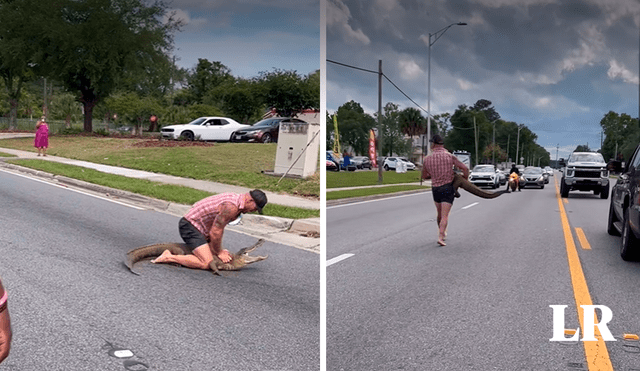 Un hombre de Florida, Estados Unidos, se volvió viral en las redes sociales, luego de pelear con un caimán en la calle. Foto: composición LR/Instagram