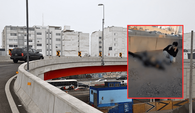 Efectivo policial perdió la vida tras caer a ocho metros de altura. Foto: composición LR/ Andina- captura Panamericana TV.