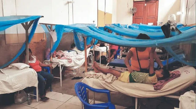 Preocupación. En Loreto se busca promover el uso de mosquiteros para prevenir la malaria. Foto: difusión