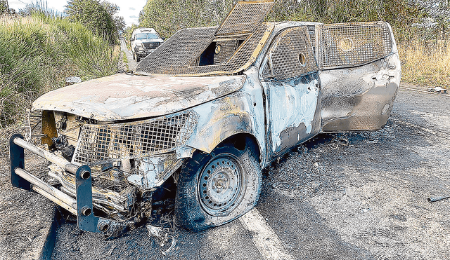 Amplia condena. En la zona se han desbaratado bandas que traficaban ilegalmente madera. Foto: AFP