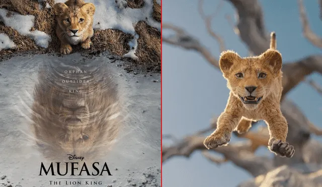 Nuevo tráiler de la película 'Mufasa: el rey león' conmueve con la presencia de los personajes reconocidos en la versión animada. Foto: composición/LR/difusión/disney