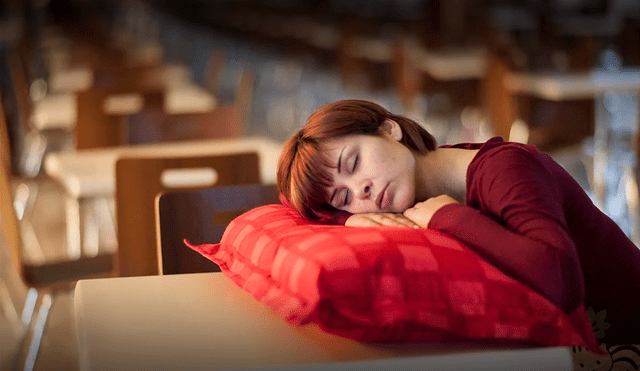 La siesta es un mecanismo recomendado por estudios científicos para sobrellevar el día a día. Foto: Elsevier