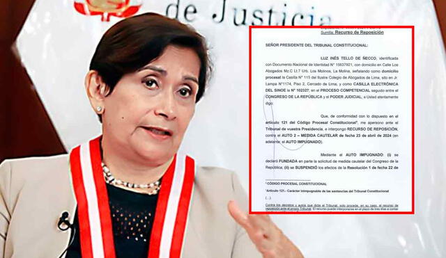 Tribunal Constitucional deberá revisar nuevo recurso presentado por Inés Tello. Foto: composición LR/Andina