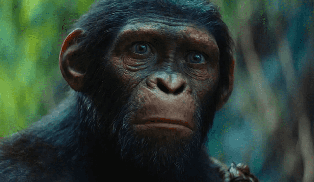 ‘El planeta de los simios: nuevo reino’ es la secuela directa de ‘La guerra del planeta de los simios’ (2017). Foto: 20th Century Studios