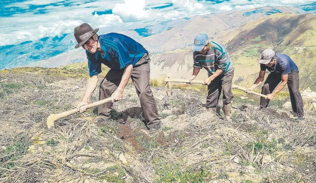 Previsión. Medidas se lanzaron ante posible impacto de El Niño. Foto: Andina