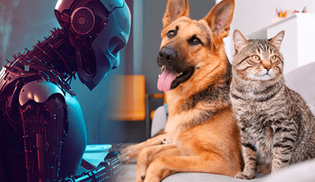 Las mascotas en el 2050 no serán iguales, tomarán nuevos rumbos y la tecnología estará integrada en ellos. Foto: Tarlogic/composición LR