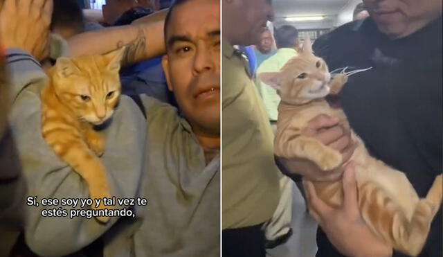 "Se ve que es un gatito muy querido en el penal", resaltaron usuarios.  Foto: composición LR/ INPE/ TikTok - Video: TikTok