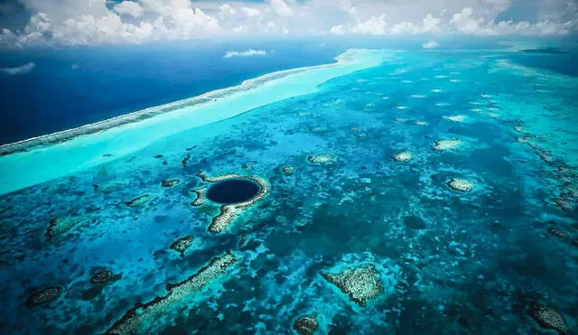 Este hermoso arrecife, que permite la conservación de cientos de especies marinas, es considerado como uno de los más importantes del mundo. Foto: Belize Adventure