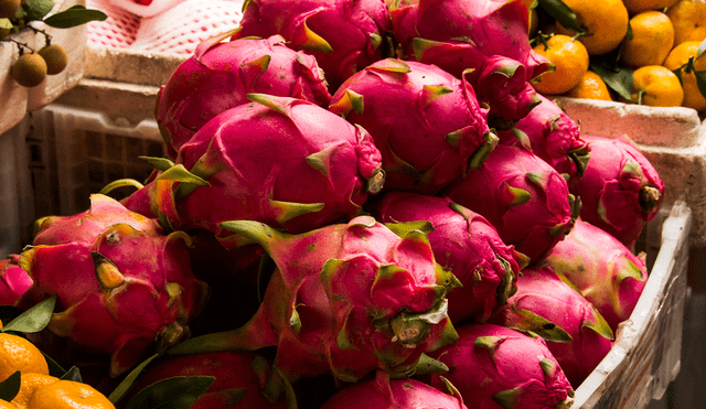 La pitahaya es conocida por su llamativo aspecto. Foto: Chalto/Flickr