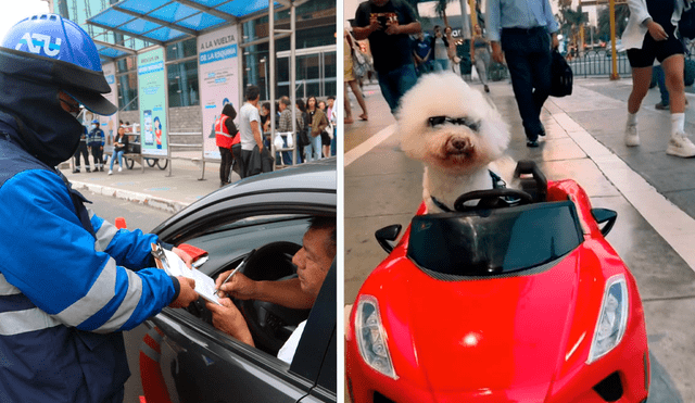 Perrito en auto rojo es reconocido por diversas personas en el distrito de Miraflores. Foto: composición LR/Andina