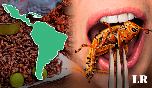 Este país es popularmente conocido por comer insectos junto con tortillas, salsa y aguacate. Foto: composición LR / Mercado MX / The New Yorker / PNG Wing