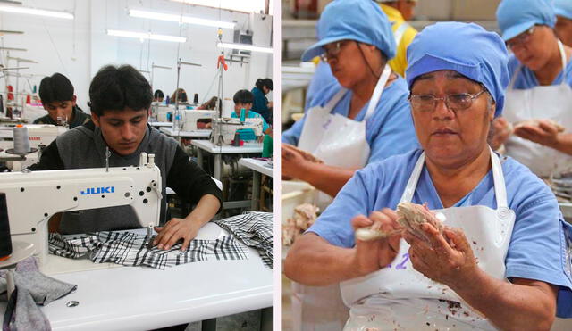 Los trabajadores en el Perú deben contar el Seguro Vida Ley, esto  por exigencia legal. Foto: Composición LR/Andina.