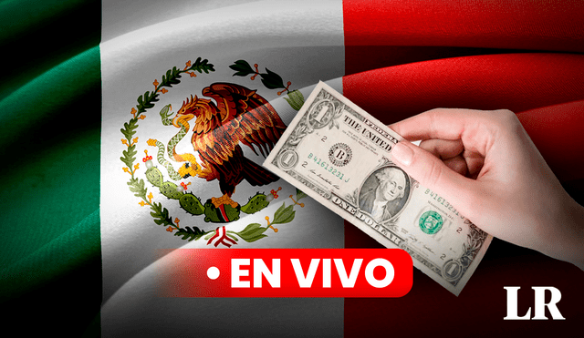 Descubre el precio del dolar en México. Foto: Composición LR/Pixabay