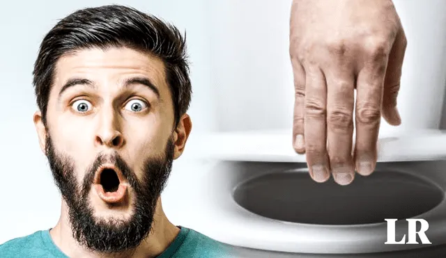 Bajar la tapa del inodoro puede salvar tu vida. Foto: Composición LR/ La Vanguardia