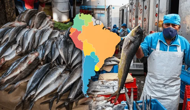 Oceana indica que el primer lugar consume 22 kg de pescado per cápita. Composición: LR/Andina