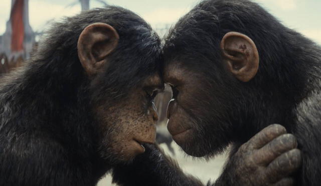 ‘El planeta de los simios: nuevo reino’ es la décima película de la saga que inició en 1968. Foto: 20th Century Studios