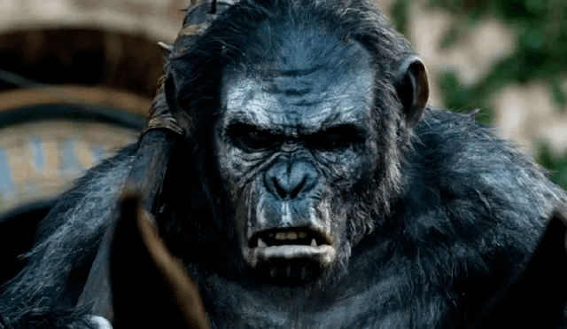'El planeta de los simios: nuevo reino' tiene una duración de 2 horas con 25 minutos: Foto: 20th Century Fox